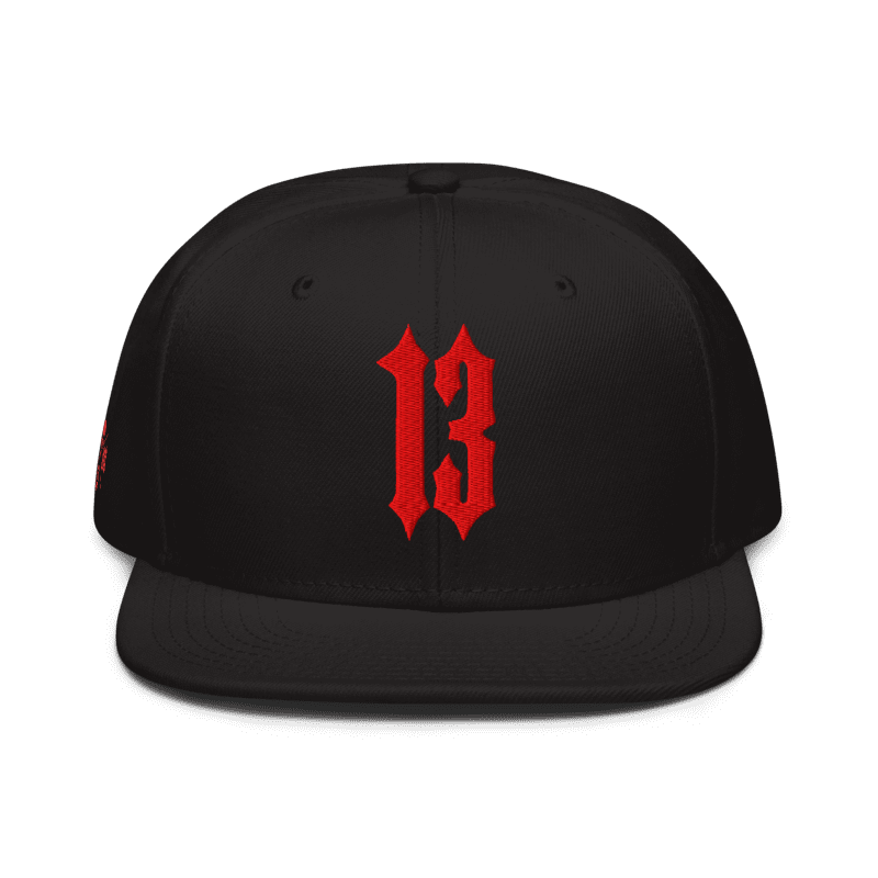 Casquette Snapback 13