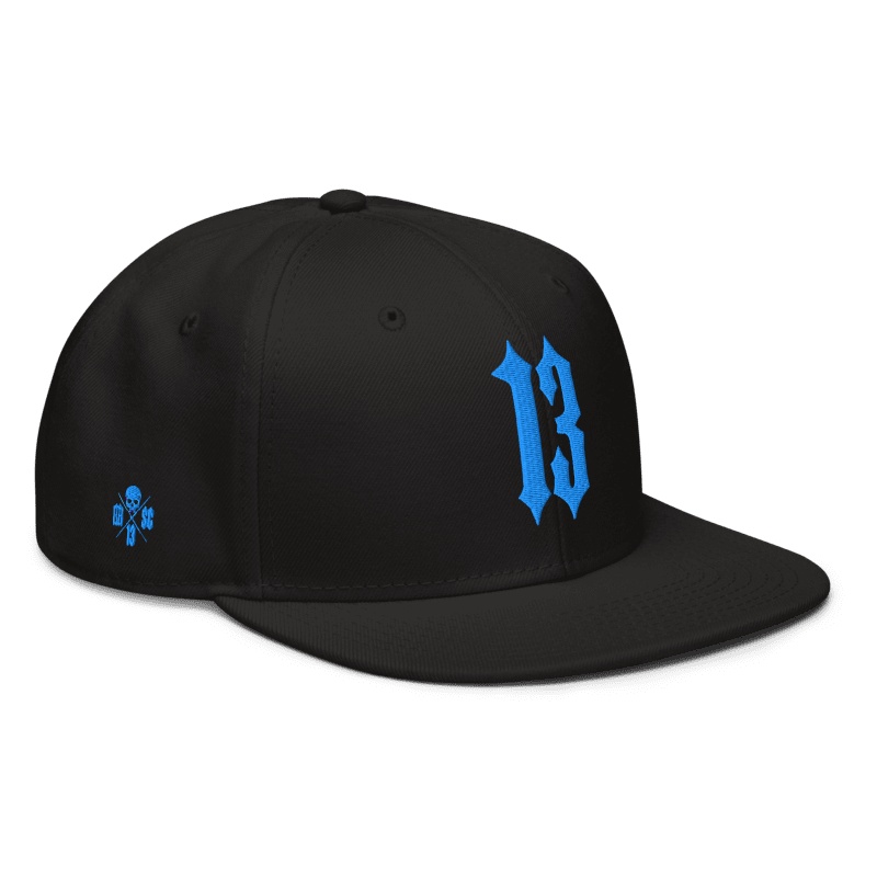 Casquette Snapback 13