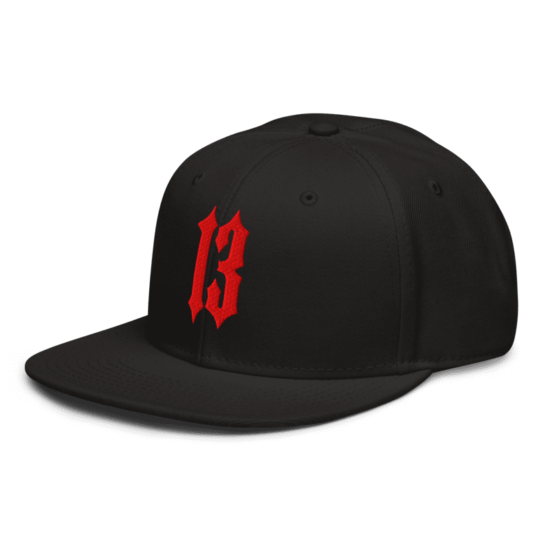 Casquette Snapback 13