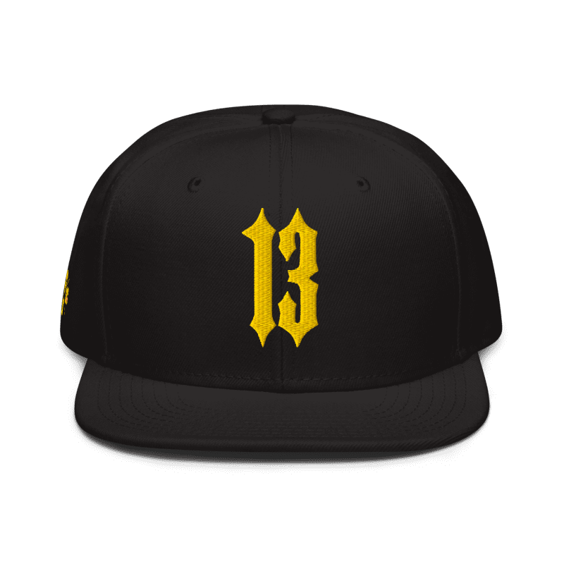 Casquette Snapback 13
